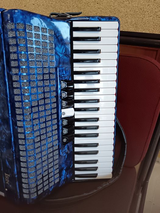 Acordeão Instrumento musical