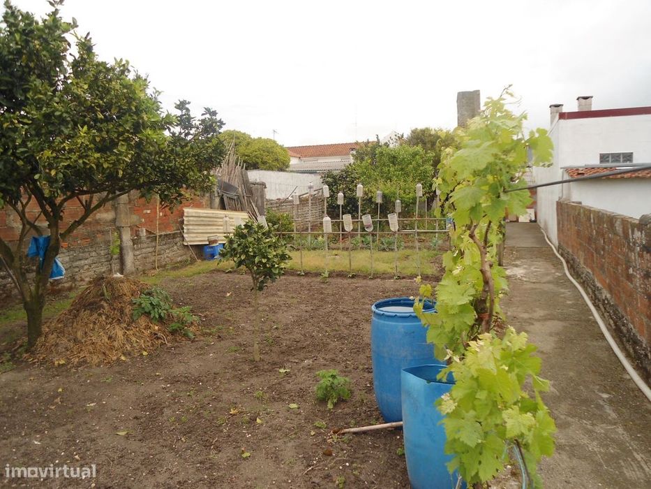 Casa T1+2, antiga, com lagar, churrasco, com poço e quintal