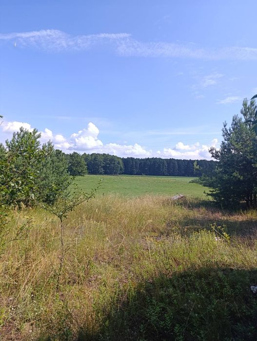 Sprzedam działkę siedliskową
