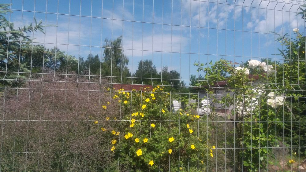 Działka budowlana w Kaniach - Widok 4