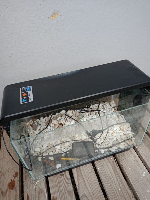 Akwarium z Lampą UV
