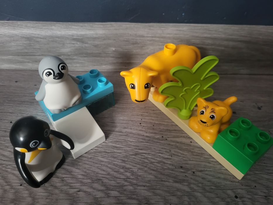 10442 Duplo - Rodziny dzikich zwierząt: pingwiny i lwy