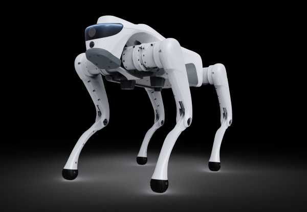 ROBOT pies Cyber 1 (dostępne kolory - BIAŁY lub SZARY, wersja DEV) - dostępne od ręki