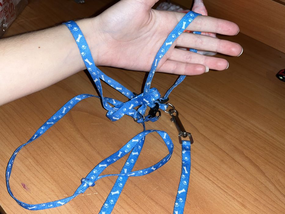 Шлейка для маленькой собаки шлейка для кота