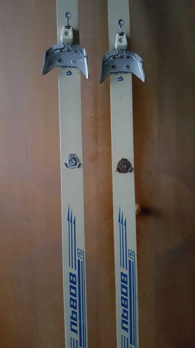 Лыжи беговые спорт