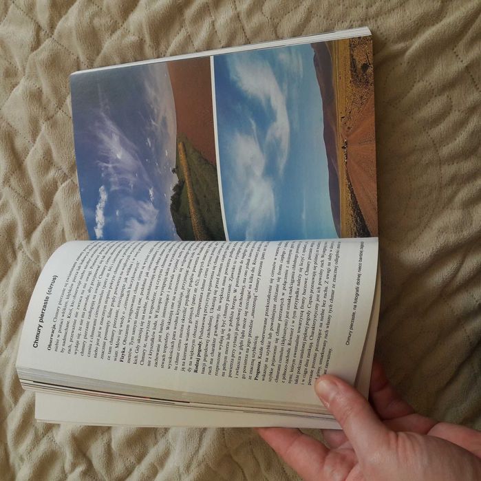 Pogoda i klimat Gunter D. Roth