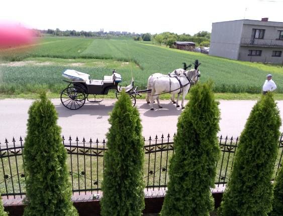 Kareta ,powóz ,bryczka ,do ślubu