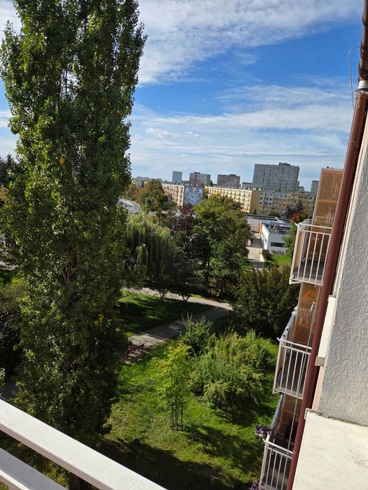 Do wynajęcia 3 pokojowe mieszkanie Poznań Winogrady.  REZERWACJA