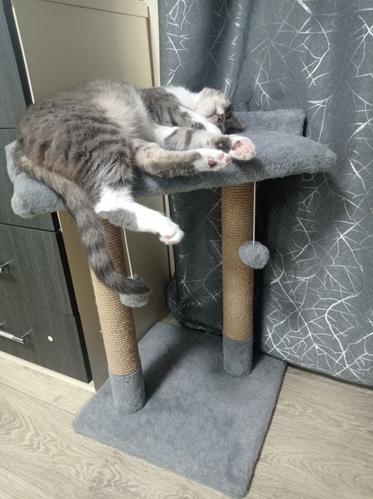 Кігтєточки для котиків. Дряпка. царап