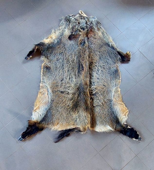 Trzy duże skóry z dzika