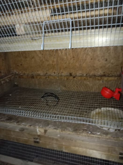 Klatka dla przepiórek 3 piętrowa