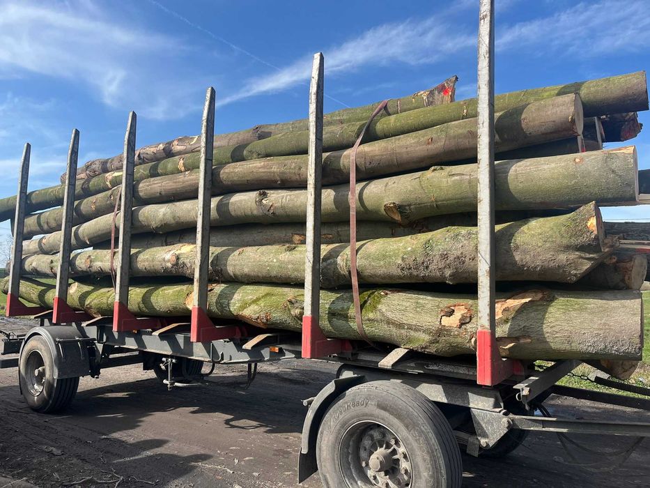 Drewno opałowe, kominkowe - wałki