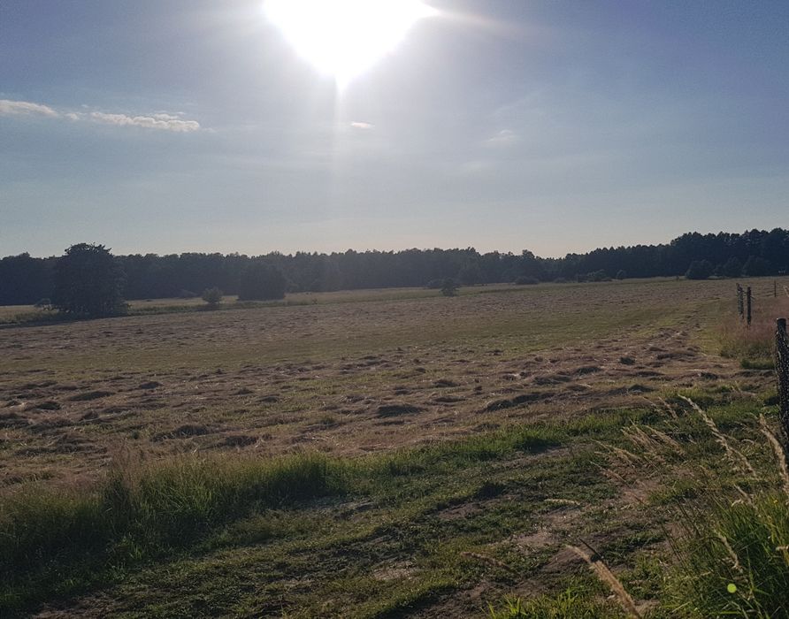 Łeba okolice działki budowlane na sprzedaż - Widok 2