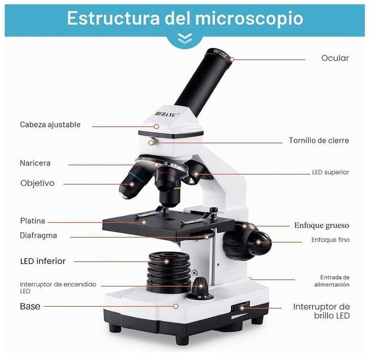Microscopio para crianças