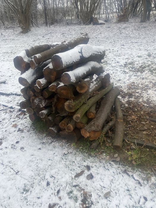 Drewno opałowe Śliwa