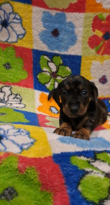 Чекає саме на Вас