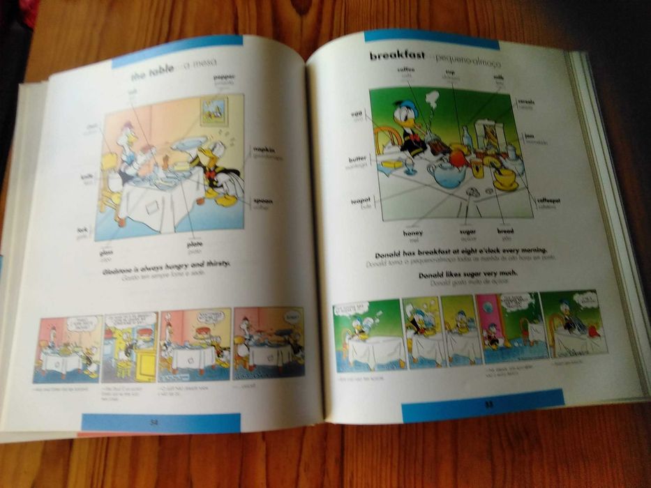 Dicionário Ilustrado Inglês