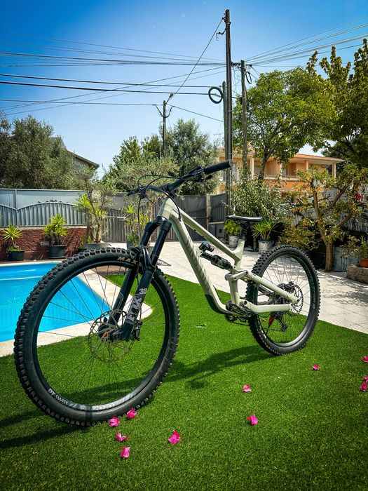 Canyon Torque Mullet 7