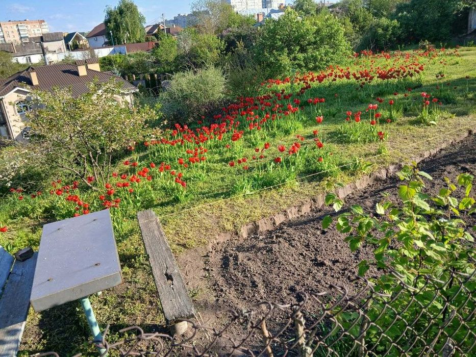Продам ділянку в центрі, вул. Верхня Горова