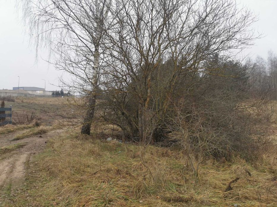 Działka pod gospodarowanie odpadami - Widok 2