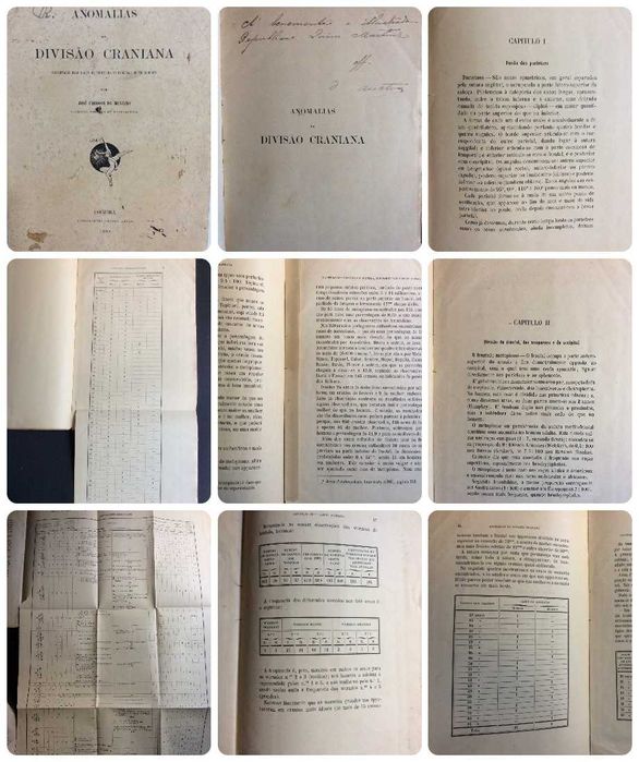 Livros com dedicatórias manuscritas pelos seus autores. Lote 2