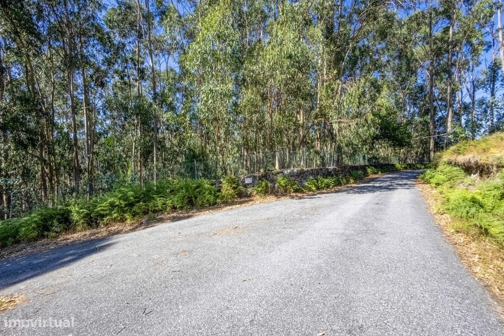 Quinta com 2 Hectares e Casa em Pedra para Recuperar em Gomide, Vila V