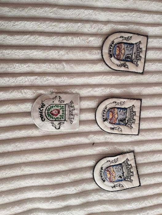 Emblema Académico Brasão Caneças e Ramada