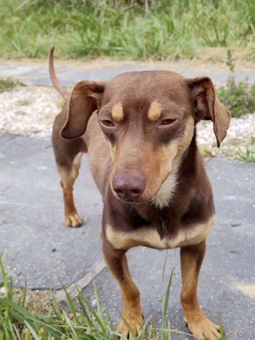 Szukamy dla Tomasza najlepszego domu