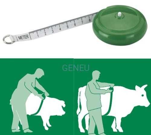 Miara zoometryczna, taśma do ważenia zwierząt trzody, bydła