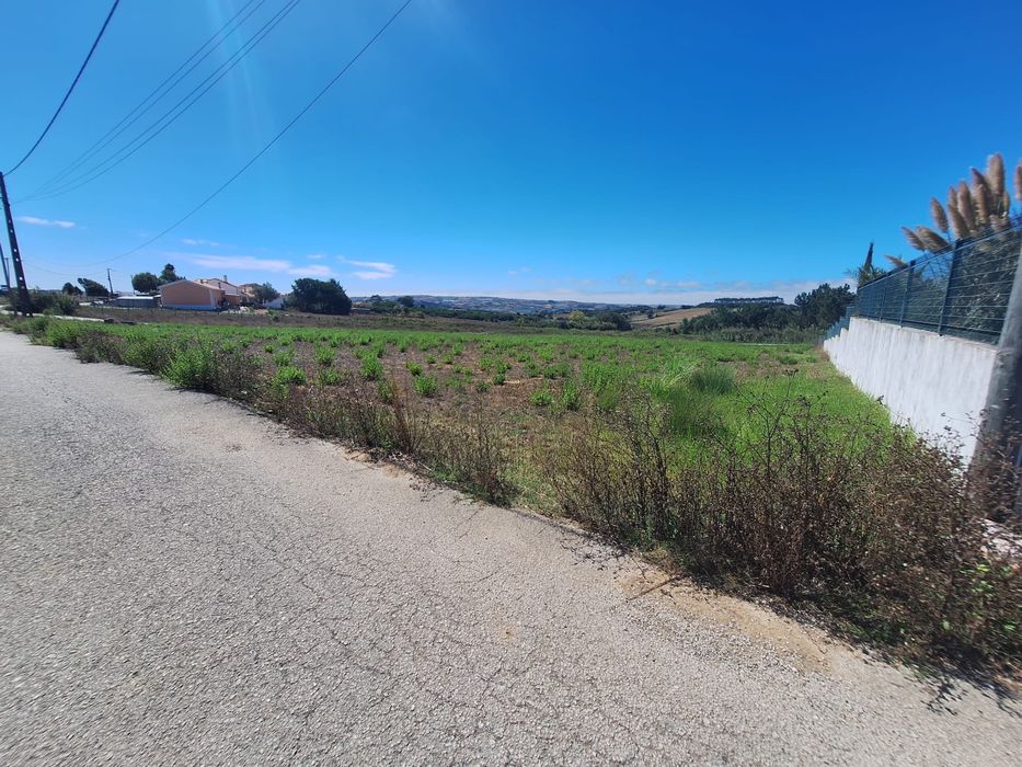 Terreno 3760m2 Papagovas - Casal Campina- Lourinhã