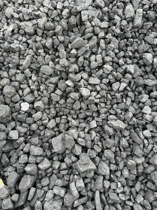 Węgiel Orzech Polski