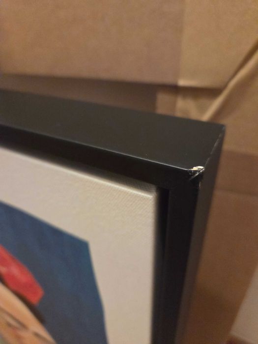 Quadro Butterfly Cry