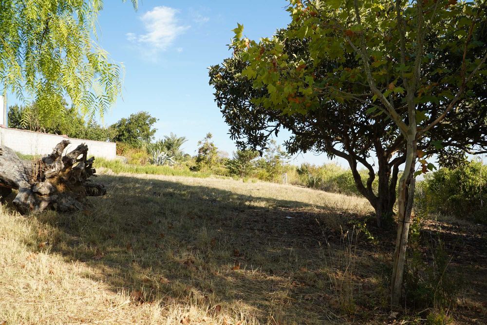 Vende-se lote terreno na Quinta da Aliança - S. João dos Montes