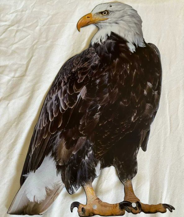 Прочный подвесной отпугиватель птиц вид орла с колокольчиком для сада