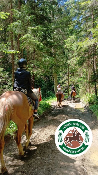 Кінні прогулянки Ворохта Буковель