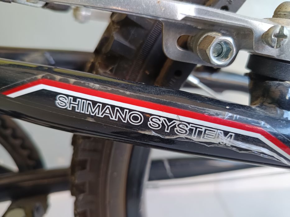 Bicicleta Juvenil de Montanha Team DS220 R20 (Dupla Suspensão / Shimano)