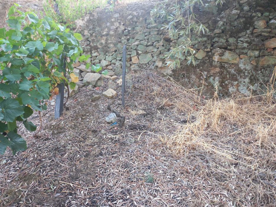 Terreno Rústico - Vacalar, Armamar