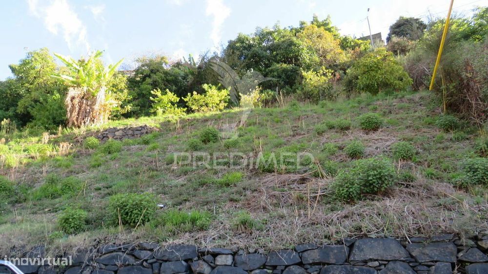 Terreno C/1500M2 No  Funchal — Cardigos, Santarém