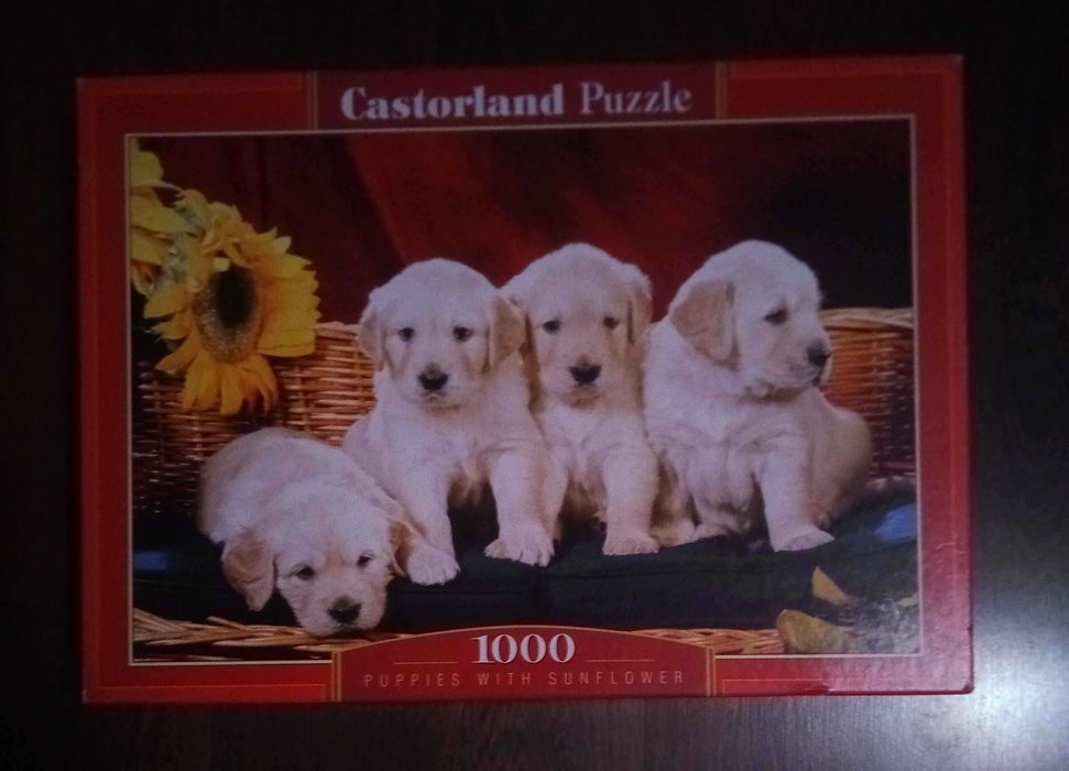 Puzzle Castorland Puppies with sunflower - 1000 elementów