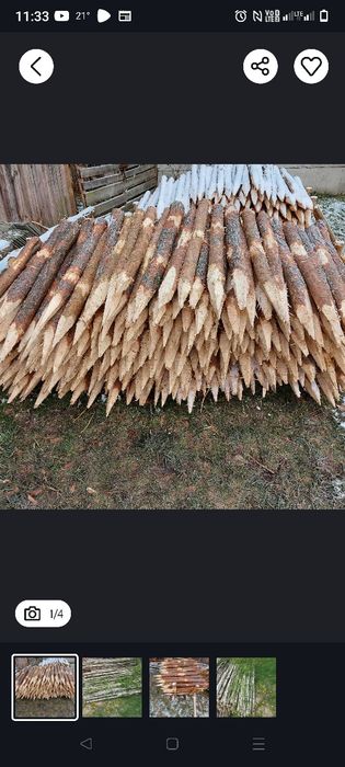 Faszyna i kołki merioracyjne