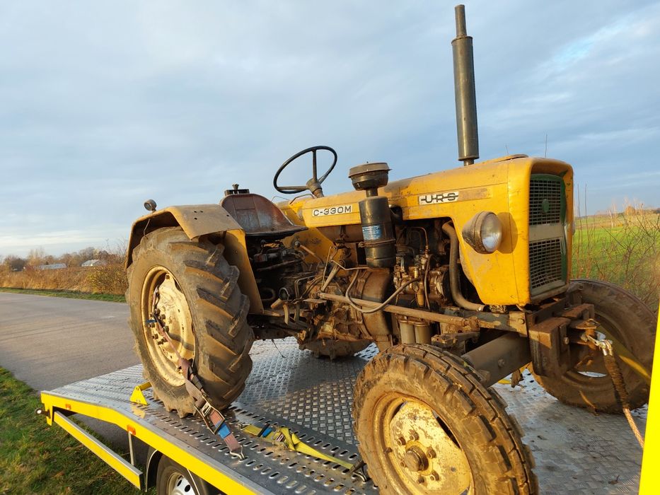 Skup Ciągników Rolniczych /  Ursus C330 lub C330M -Zetory - Podlasie