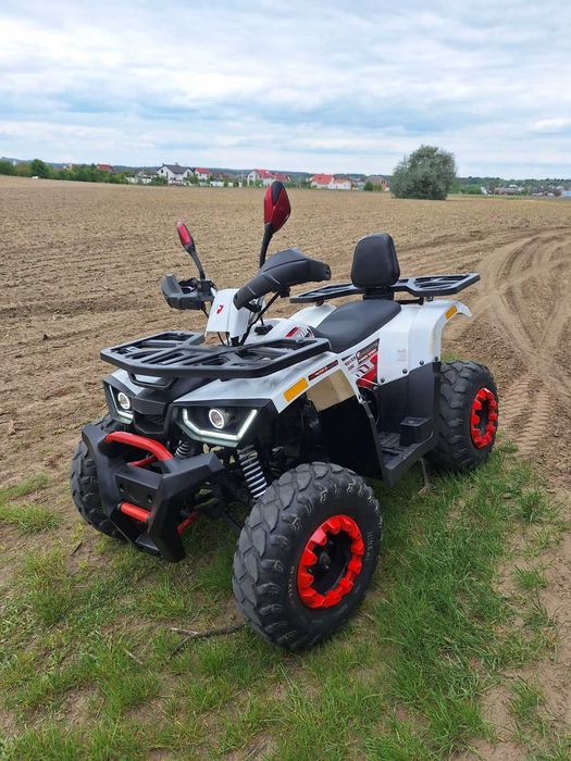 Квадроцикл Forte Braves 200