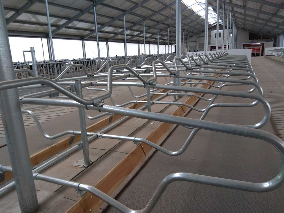 Ruszta betonowe dla bydła i  trzody