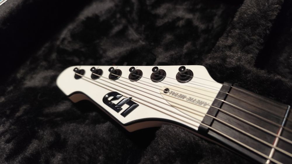 LTD Phoenix Arctic Metal + case