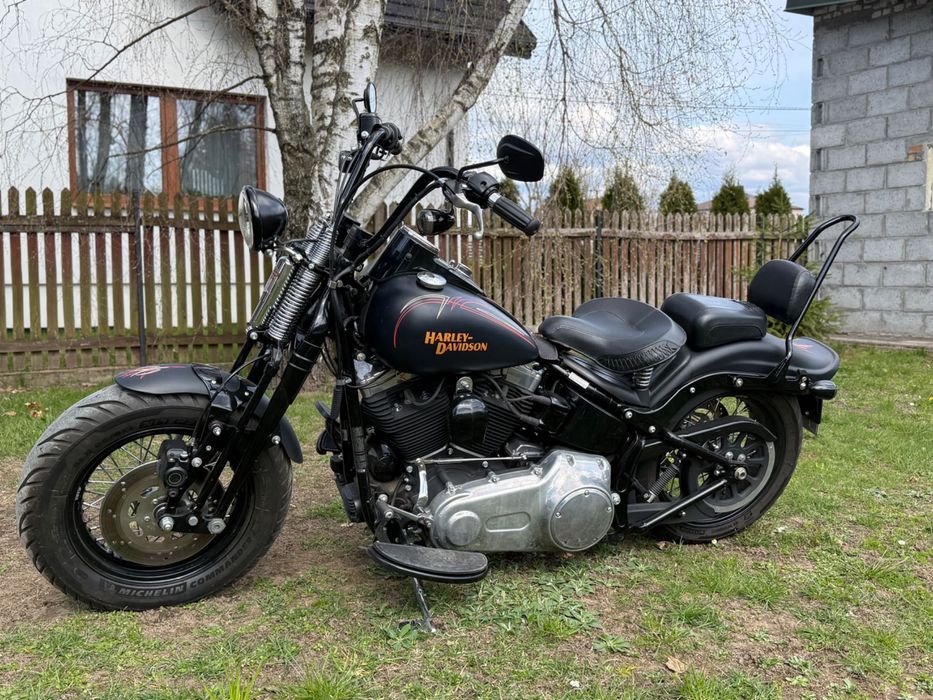 Harley Davidson Cross Bones