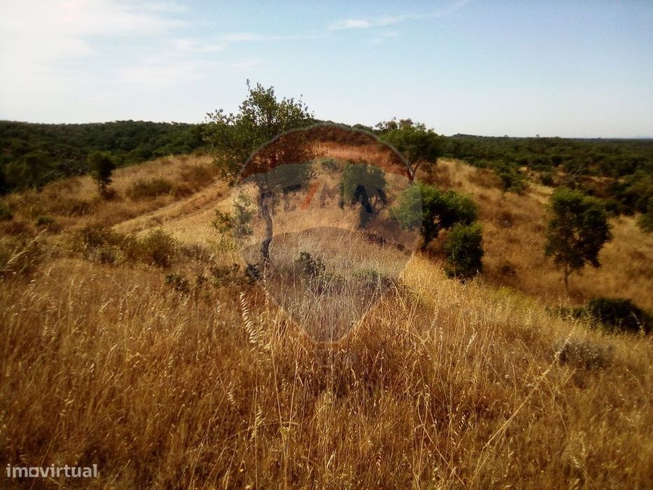 Terreno  para venda