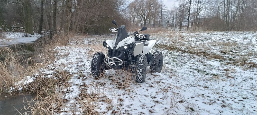 Can am Renegade 500