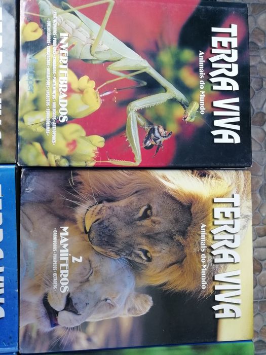 8 Lindos Livros Animais do Mundo