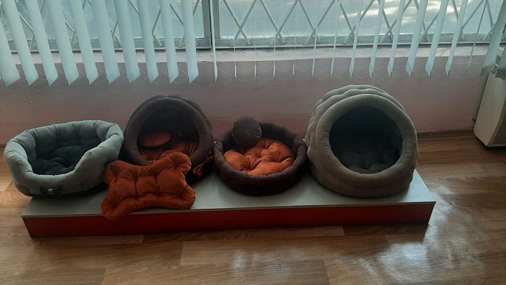 Лежаки для тварин