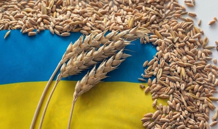 Продам пшеницю 2025 року